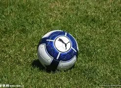 火箭激战公,连战连捷,创佳绩,必赢电子官网,必赢电子平台,必赢电子体育,必赢电子APP